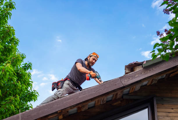 Best Roof Insulation Installation  in Timberville, VA