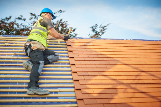 Best Storm Damage Roof Repair  in Timberville, VA